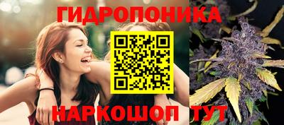 ПСИЛОЦИБИНОВЫЕ ГРИБЫ Славянск-на-Кубани
