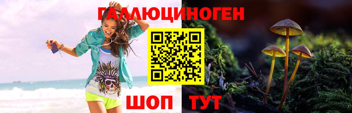 Новотроицк  дарнет шоп  Вход с VPN  Псилоцибиновые грибы Cubensis 