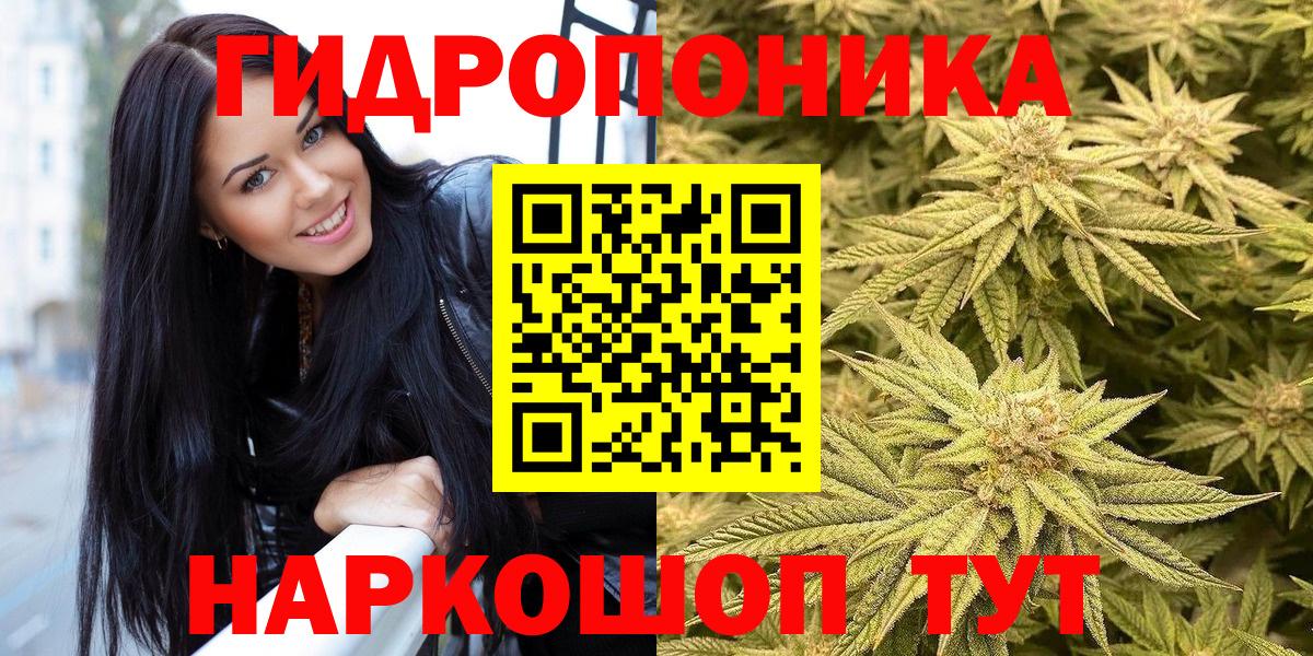 Марихуана VHQ  Бошки Шишки планчик  Вход с VPN  Канабис тримм  Шишки марихуана план  Новотроицк 